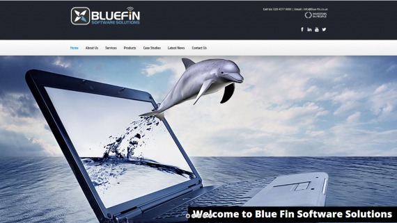 bluefin_software_solutions
